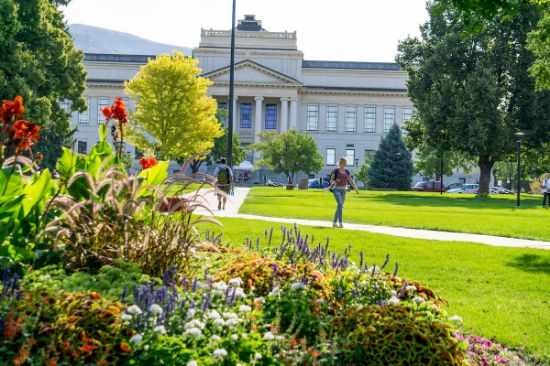 Picture of NORA Registration